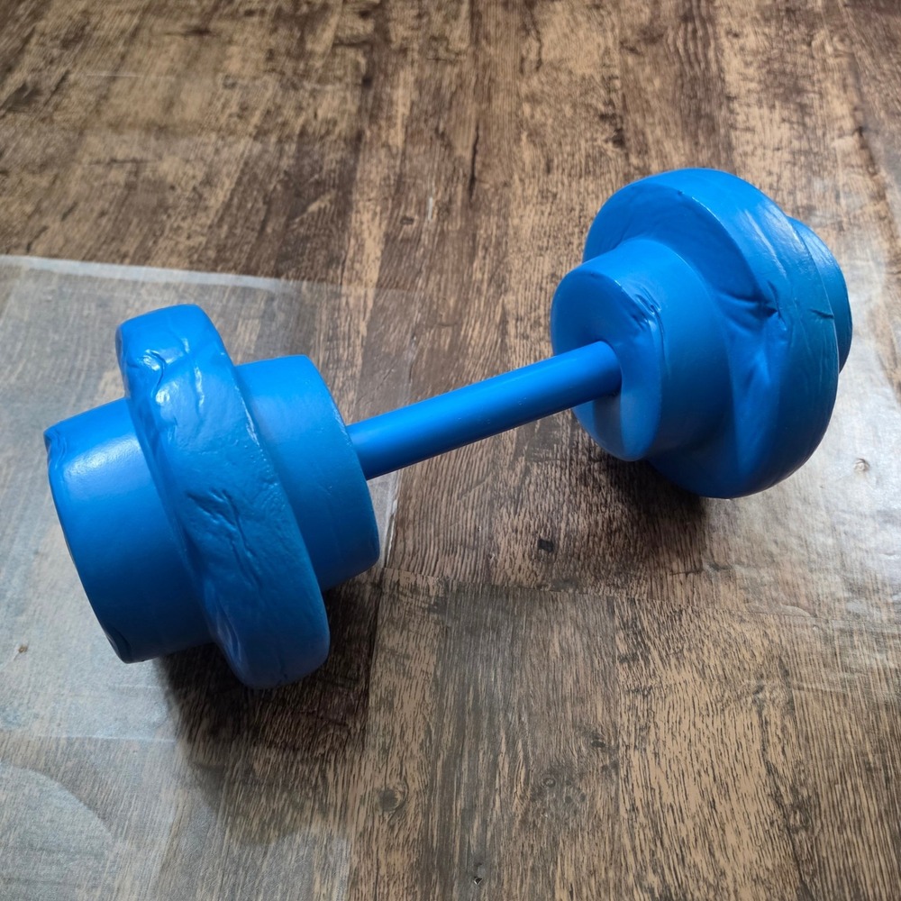 Water Aerobics Dumbbell Blue Foam Pool Resistance Fitness
